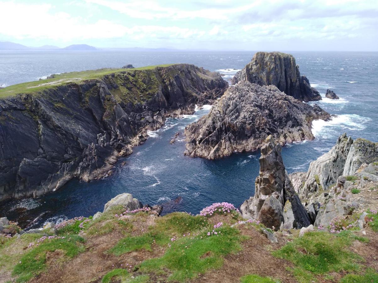 Madra Rua Organic Accommodation Ballyliffin Kültér fotó